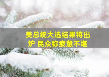 美总统大选结果将出炉 民众称疲惫不堪